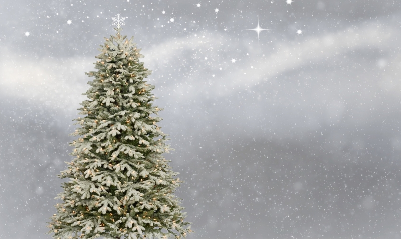 Vánoční keška/Weihnachtscache 2018