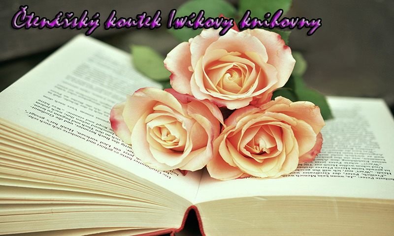 Čtenářský koutek Iwíkova knihovna