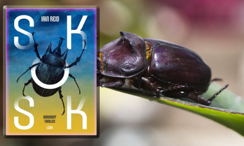 Sok – Iain Reid