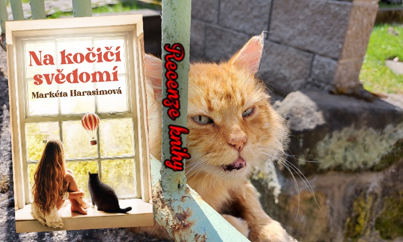 Na kočičí svědomí – Markéta Harasimová